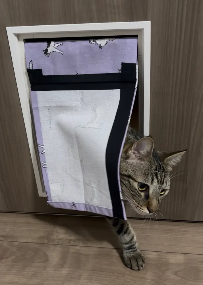 裏側から見たところ。黒い裾上げテープが見えている布をくぐって、猫が出てきている